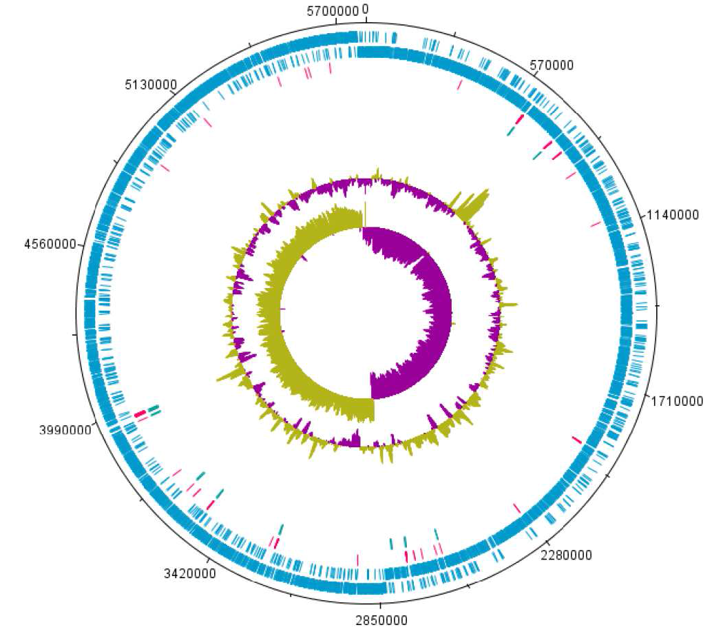 Geosporobacter ferrireducens의 Chromosome1의 지놈