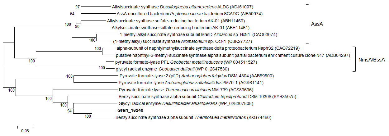 Geosporobacter ferrireducens의 glycyl radical enzyme의 phylogenetic분석