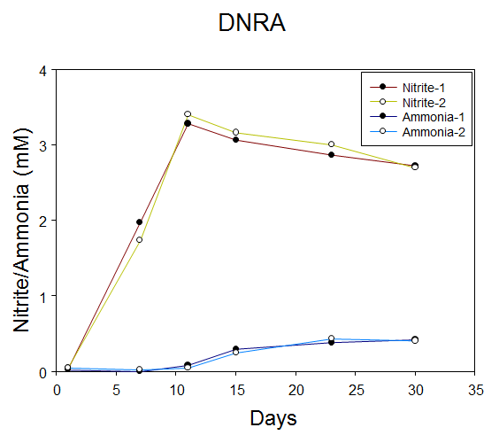 DNRA조건에서 Desulfuromonas sp. TF의 성장을 아질산염과 암모니아 이온로 간적적으로 확인