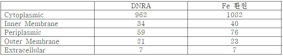 DNRA와 철환원 조건에서 획득한 단백질의 위치성 확인