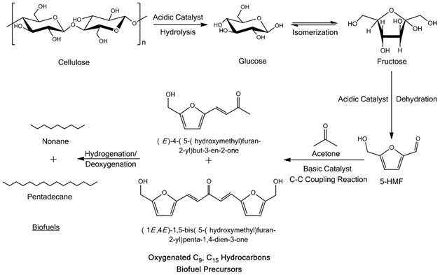 Conversion of biomass feedstocks to long chain fuel-grade alkanes.