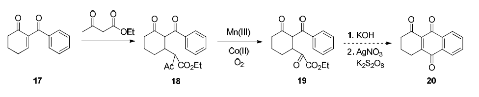 벤조-2-시클로헥센-1-온 17을 이용한 다중 고리구조 퀴논 화합물 20의 합성법