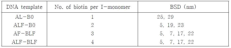 DNA 나노템플릿별 I-monomer 당 삽입되는 biotin의 포지셔닝 위치 및 최단간격