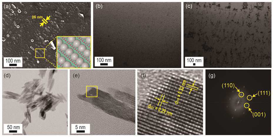(a) 실리카 웨이퍼 표면에 형성된 대면적 DNA/단백질 나노템플릿 단일층을 활용하여 생무기질화 반응을 통해 합성된 25 nm 간격의 무기 나노패터닝. (b-c) DNA 단일층 혹은 기능성 단백질을 제외한 생무기질화 반응 결과. (d-g) (a)에서 생성된 무기 나노로드를 산 처리하여 떼어낸 후 결정구조 분석.