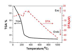 TGA/DTA분석