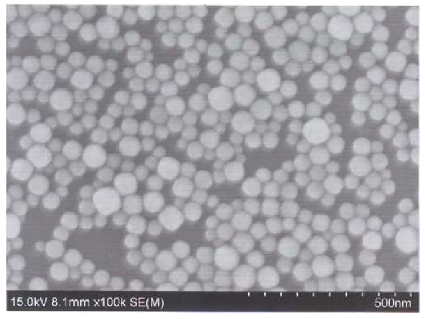 생성된 나노 입자의 SEM 사진