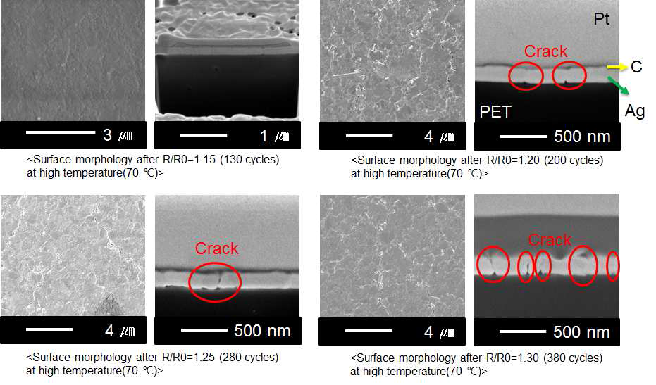 Ag/PET 고온에서의 저항 증가 시의 FIB를 이용한 단면 분석