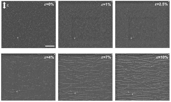 In-situ SEM observation of cracking mechanism of CVD single-layer graphene on PET under tensile loading