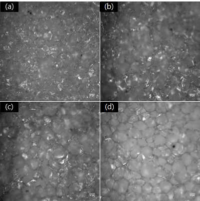 용해 시간에 따른 폴리카보네이트 표면의 OM 분석 이미지. (a) 30 초; (b) 1 분; (c) 5 분; (d) 15 분