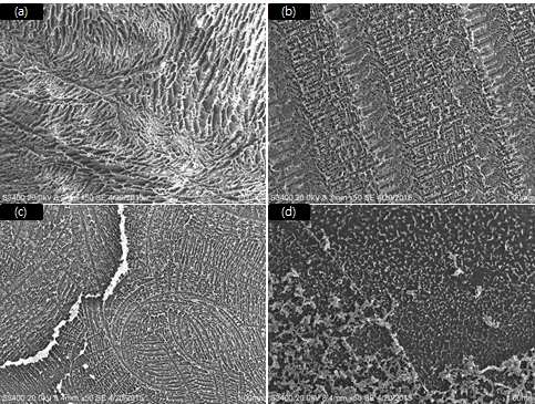 용융결정화 온도에 따른 폴리카보네이트 표면의 SEM 분석 이미지. (a) 20 ℃; (b) 5 ℃; (c) -15 ℃;(d) -40 ℃