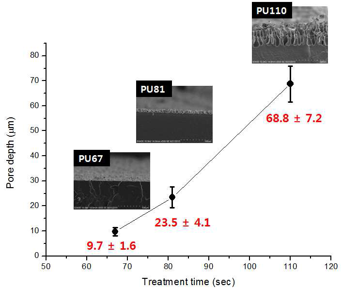 Treatment time에 따른 폴리우레탄 단면의 SEM 이미지와 표면 기공의 깊이 측정 결과.