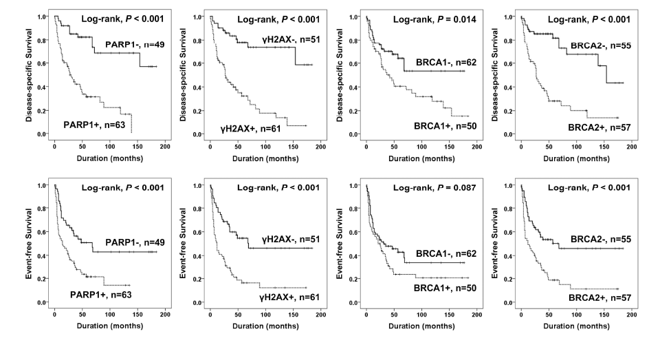 Kaplan-Meier survival analysis in soft tissue sarcomas