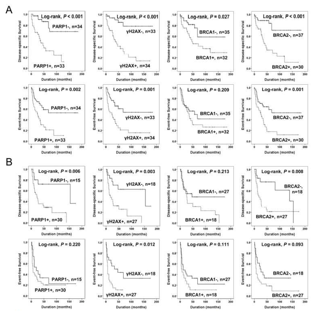 Kaplan-Meier survival analysis of the sub-populations of soft tissue sarcomas according to adjuvant chemotherapy.