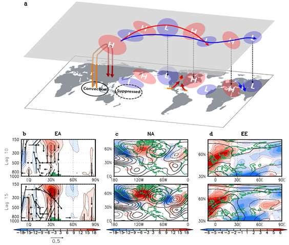 (a) The geopotential height anomalies (cyclonic or anticyclonic) forced by MJO enhanced convection over the Indian Ocean and suppressed convection over the western Pacific (i.e., phases 2 and 3).