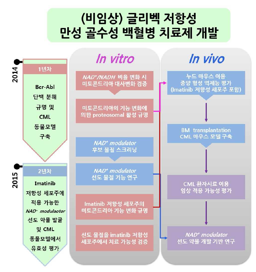 (비임상) 글리벡 저항성 만성 골수성 백혈병 치료제 개발 연구 추진 전략