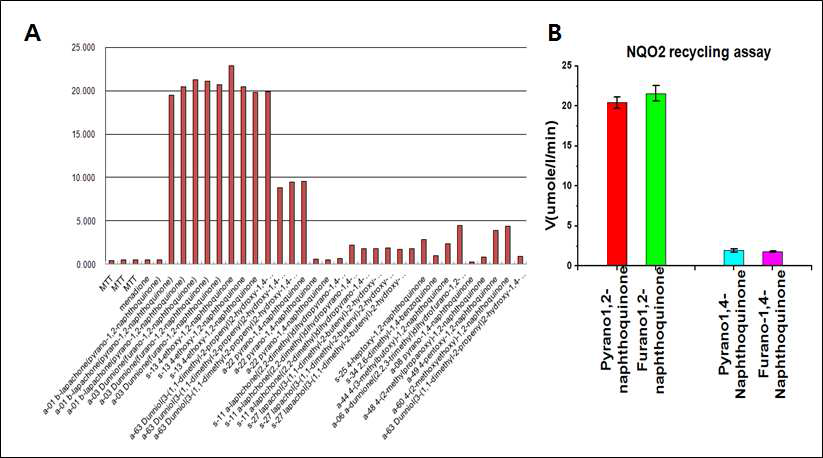 NQO 효소 recycling assay를 통한 NAD+조절 후보약물 스크리닝
