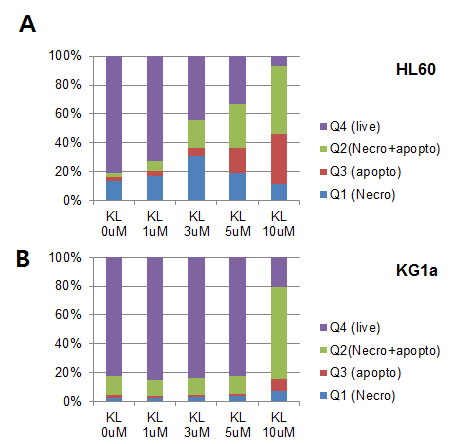 KL1333에 의한 세포 자살과 세포 괴사 비율 확인