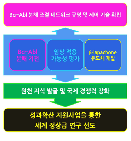 연구 개발 과제의 필요성