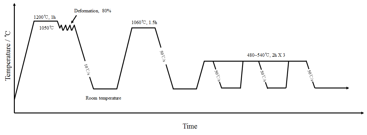 Schematic diagram showing the processing condition