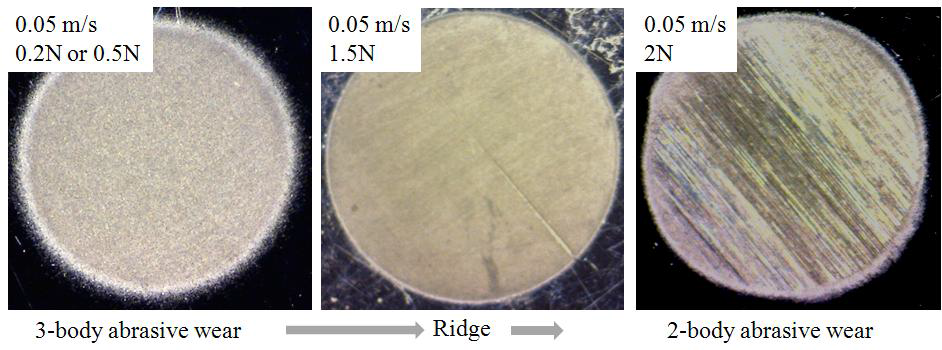 Optical images showing the differences in the wear behavior with respect to applied load