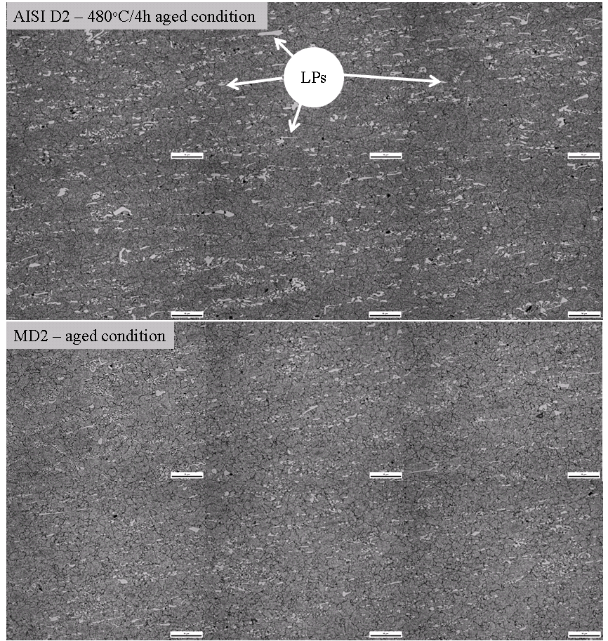 SEM images showing primary carbides in as-quenched AISI D2 steel