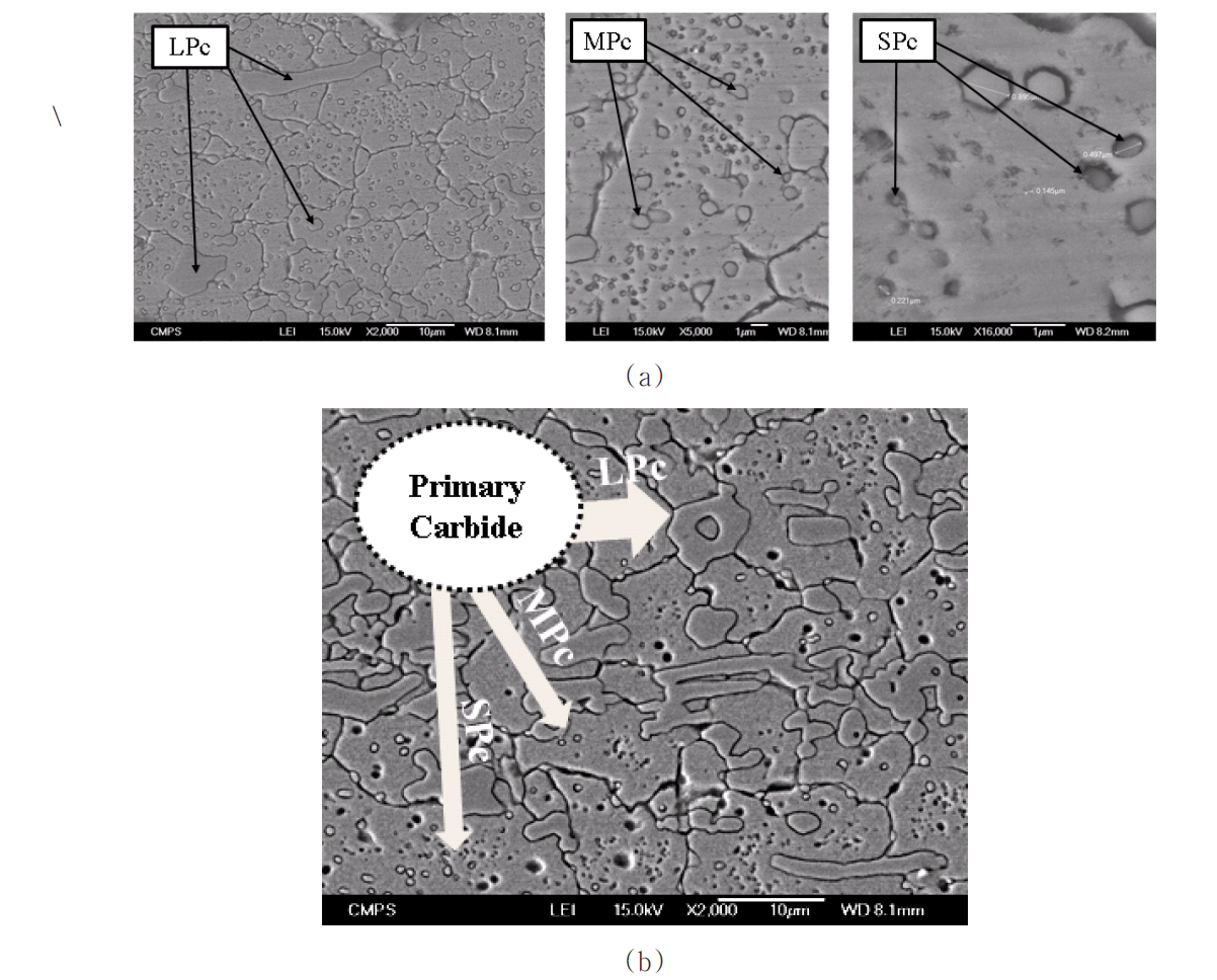 SEM images showing primary carbides in as-quenched AISI D2 steel