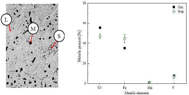 TEM-EDX results using replicating technique