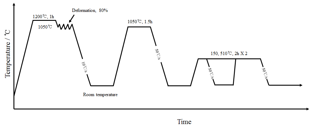 Schematic diagram showing the processing condition