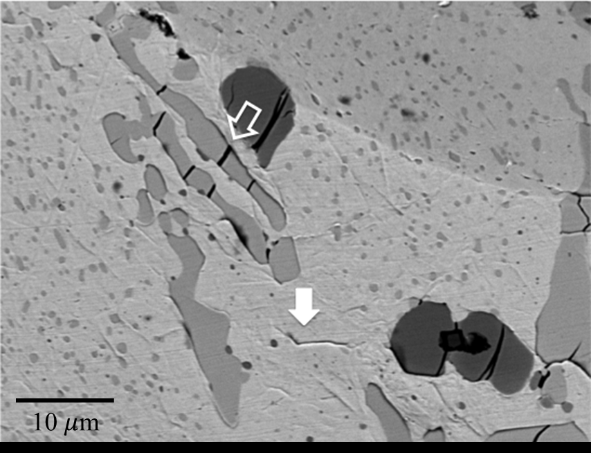 SEM image indicating crack-initiation observed in primary particles and matrix of D7 steel after indentation under 1470 N load