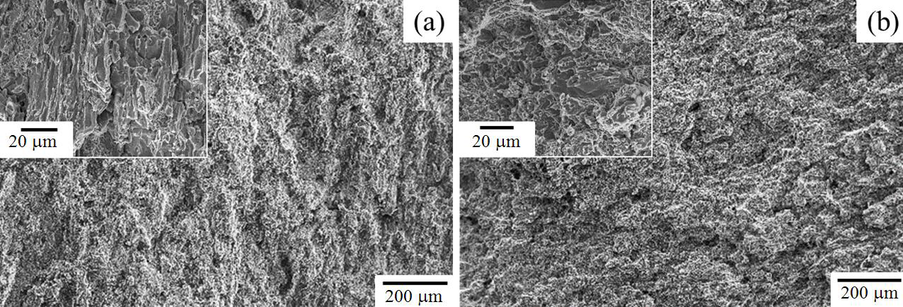 SEM fractographs showing the differences in the microstructural features of the (a) D7 and (b) K2D7 steels; here, the insets are the corresponding high-magnification images