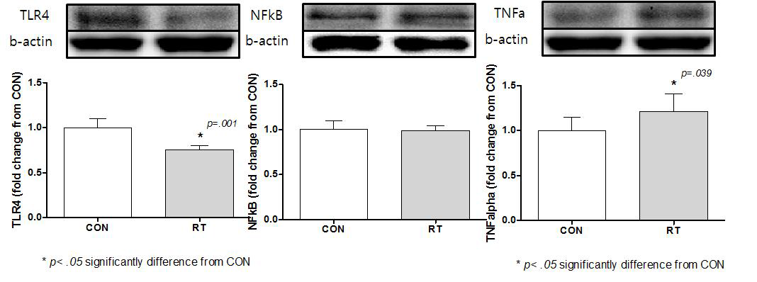Effects of 12wk resistance exercise training program on TLR4, NFkB & TNFα protein in myocardium