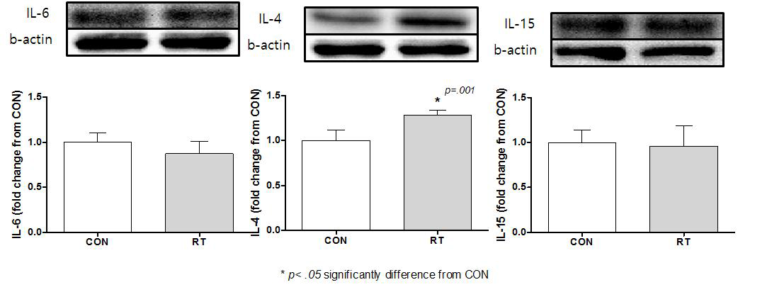 Effects of 12wk resistance exercise training program on IL-6 protein, IL-4 protein & IL-15 protein in myocardium