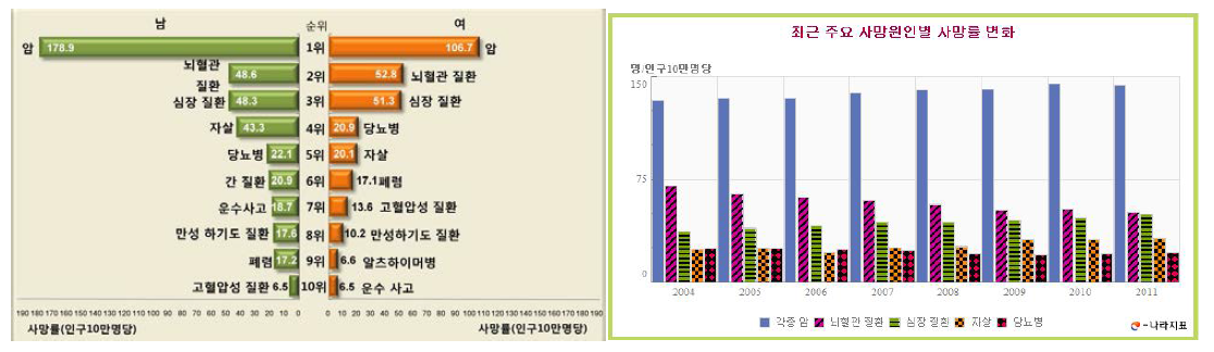 사망원인별 사망률