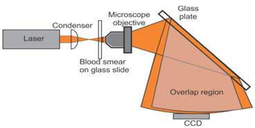 Experimental setup for generating the shearing interferogram