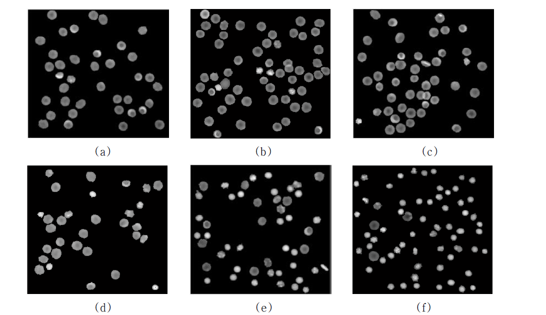 Original RBC quantitative phase image (a), (b), (c), (d), (e) and (f) are RBC's with 8, 16, 30, 34, 47 and 57 days of storage, respectively