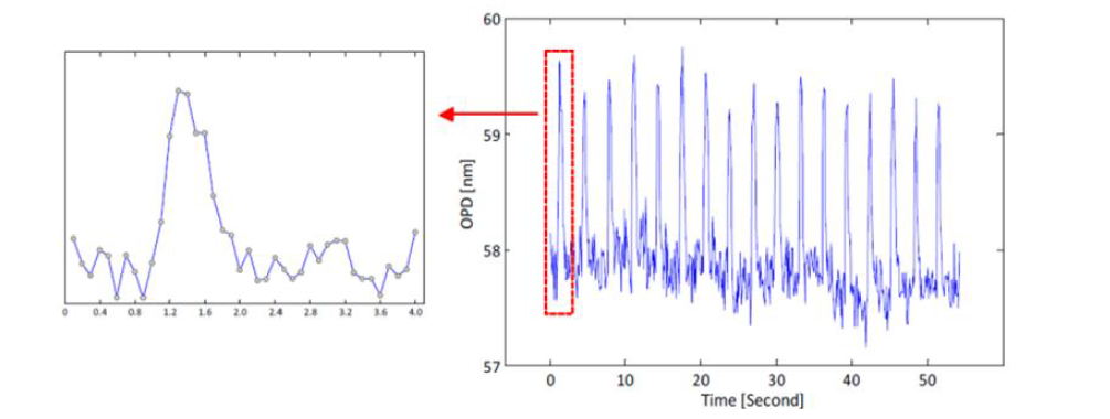 Beating activity of cardiomyocyte