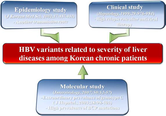 국내 특이적인 HBV 변이주의 존재를 시사하는 역학적, 임상적인 증거들