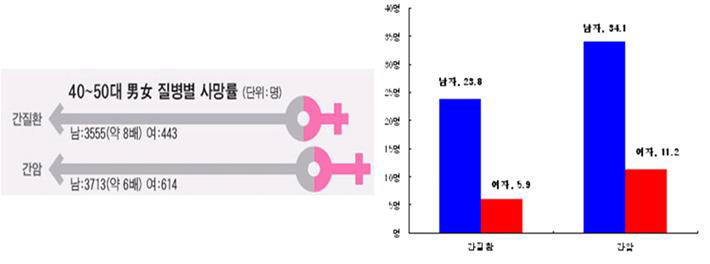 남녀 간암, 간 질환 사망률