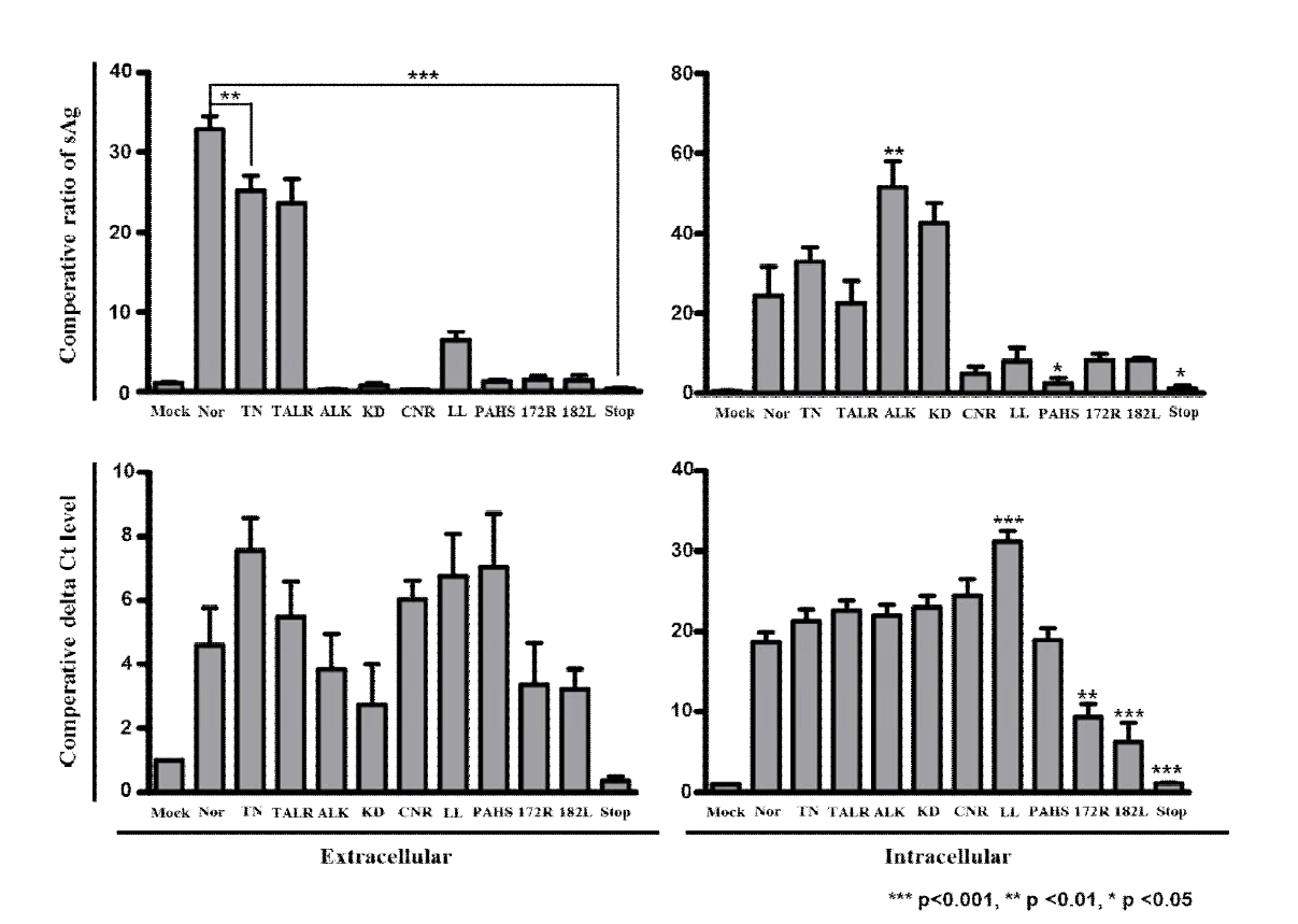 Secretion capacity and viral DNA formation of occult HBV S variants which have ten novel mutation patterns in HuH-7 cell lines. Extracellular secreted HBsAg and intracellular expressed sAg from cell lysate were measured using three different HBsAg ELISA kit normalized by beta-galactosidase assay. After purification of viral DNA from supernatant and cell lysate using total viral DNA preparation kit, the detection of viral DNA from both intra- and extra-cellular was performed using real-time quantitative DNA-PCR assay. HBV DNA was normalized by beta-galactosidase assay. The tests were performed triplicate