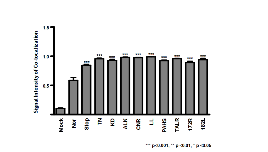 Signal intensity analysis of co-localization between ER and 10 mutants related to occult infection compared to wild-type (Nor). Coefficiency of colocalization was measured using Pearson’s coefficient method which is a simple way of measuring the dependency of pixels in dual-channel images