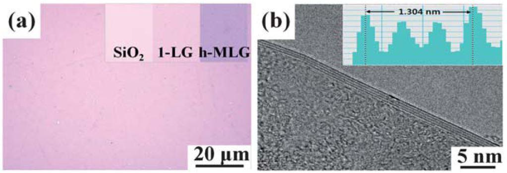 (a) SiO2/Si 기판 위에 전사된 1-LG의 광학현미경 이미지, (b) h-MLG의 cross-sectional TEM 이미지