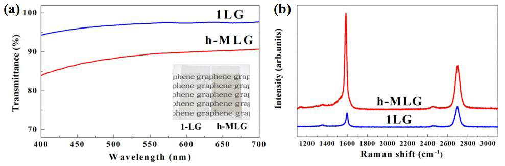 PET 기판위에 전사된 1-LG과 h-MLG의 (a) 광투과율 스펙트럼, (b) 라만 스펙트럼