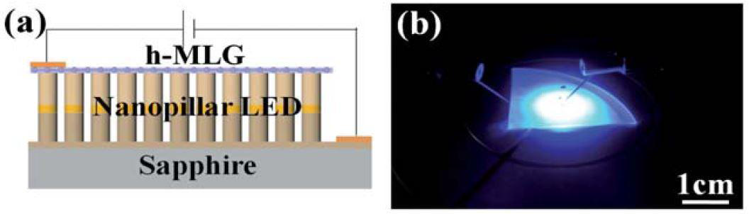 (a) h-MGL을 electrodes로 사용한 나노필라 LED의 구조, (b) 발광 이미지 (주입전류 100mA)