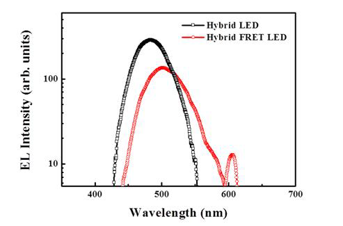 하이브리드 LED 및 하이브리드 FRET LED에 대한 EL 강도 측정 결과