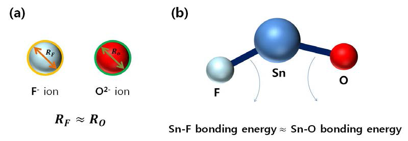 (a) 비슷한 크기의 이온 반지름을 지닌 플루오린 이온과 산소 이온, (b)주석과 플루오린, 주석과 산소의 비슷한 결합 에너지.