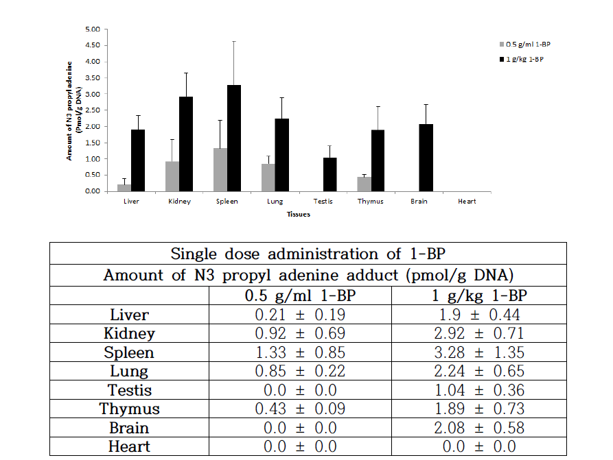 N3-Propyl adenine from single dose administration with 1-BP in vivo.