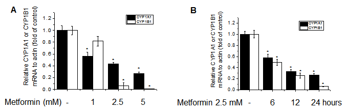 Metformin down-regulates CYP1A1 and CYP1B1 transcription in MCF-7 breast cancer cells. CYP1A1 and CYP1B1 mRNAs were analysed by qRT-PCR; results suggested that metformin repressed CYP1A1 and CYP1B1 mRNA levels in a dose- (A) and time- (B) dependent manner.