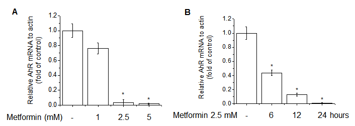 Effects of metformin on AhR expression. qRT-PCR analysis showed that metformin reduces AhR mRNA levels in a dose- (C) and time- (D) dependent manner.