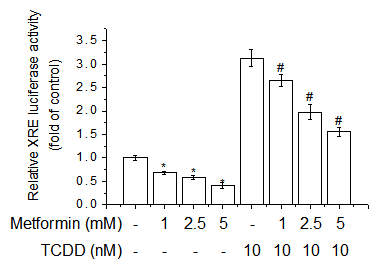 Effects of metformin on AhR activity. Metformin inhibits constitutive and TCDD-induced XRE luciferase promoter activity.