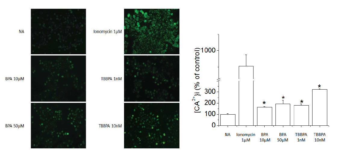 Effects of TBBPA and Bisphenol A on intracellular Ca2+. Cells were treated with TBBPA and Bisphenol A. The result demonstrated that the intracellular calcium concentration in RBL-2H3 cells was increased with a statistically significant difference.